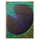 Peacockveer Notitieboek (Voorkant)