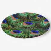 Peacockveer   papieren bordje (Gekanteld)