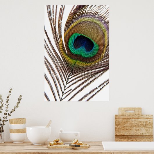 Peacockveer Poster (Keuken)