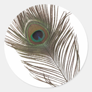 Peacockveer Ronde Sticker