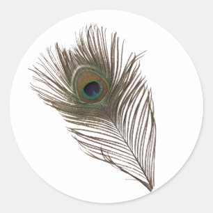 Peacockveer Ronde Sticker