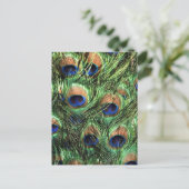 Peacockveren Briefkaart (Staand voorkant)