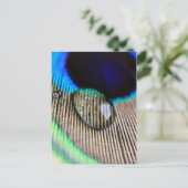 Peacockveren met waterdruppeltjes briefkaart (Staand voorkant)