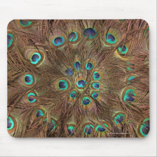 Peacockveren Muismat