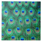 Peacockveren Tegeltje (Voorkant)
