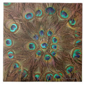 Peacockveren Tegeltje (Voorkant)