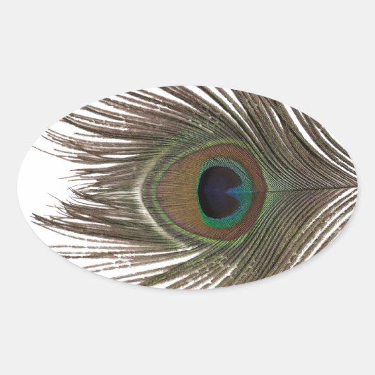 Peacockvetherovaal Ovale Sticker (Voorkant)