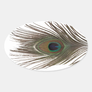 Peacockvetherovaal Ovale Sticker