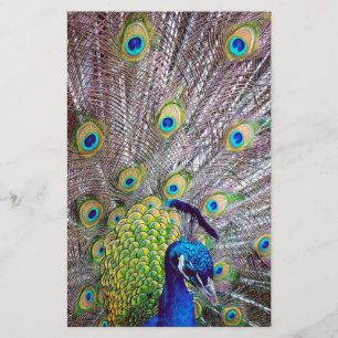 Peacockvogelveren Briefpapier