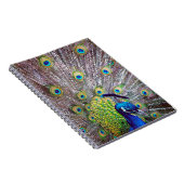 Peacockvogelveren Notitieboek (Rechterzijde)