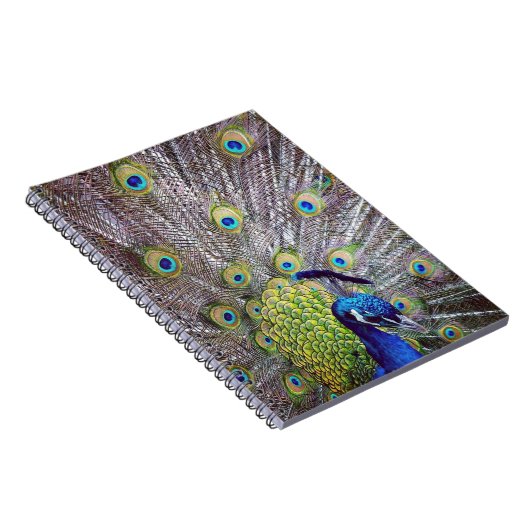 Peacockvogelveren Notitieboek (Rechterzijde)
