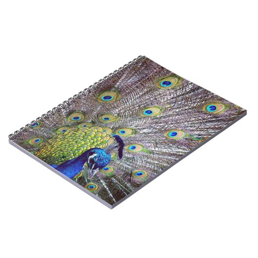 Peacockvogelveren Notitieboek (Linkerzijde)