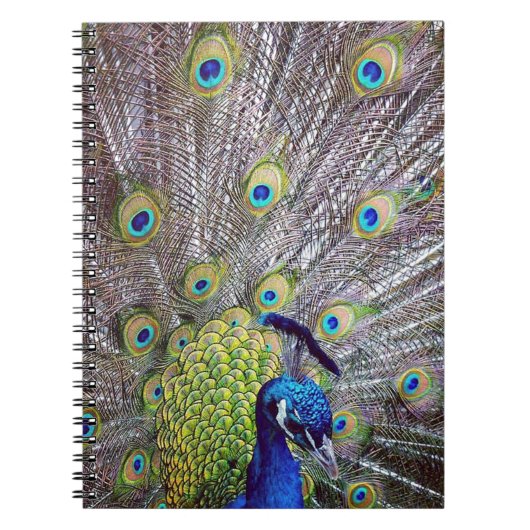 Peacockvogelveren Notitieboek (Voorkant)