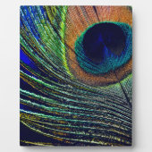 Peacocok Feather Bohemian Fotoplaat (Voorkant)