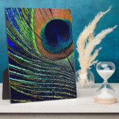 Peacocok Feather Bohemian Fotoplaat (Zijkant)