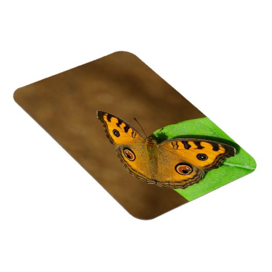 Peacocus pansy vlinder magneet (Rechterzijde)