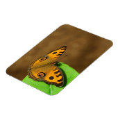 Peacocus pansy vlinder magneet (Linkerzijde)