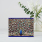 Peacok Briefkaart (Staand voorkant)