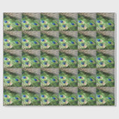 Peacok Feathers Gift Wrapping Paper Peacok Cadeaupapier (Vlak)