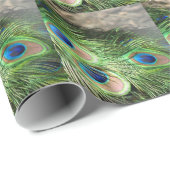 Peacok Feathers Gift Wrapping Paper Peacok Cadeaupapier (Rol Hoek)