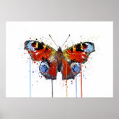 Peacook Butterfly Poster (Voorkant)