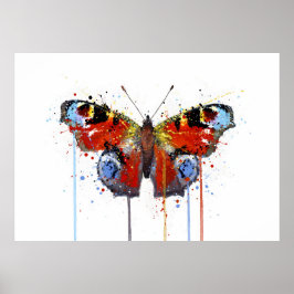 Peacook Butterfly Poster