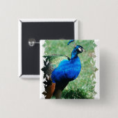  Peafowl Button (Voorkant /achterkant)