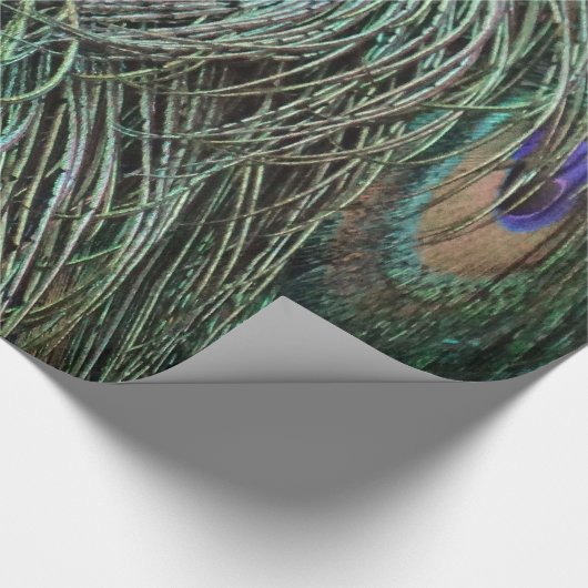 Peafowl Feathers Cadeaupapier (Hoek)