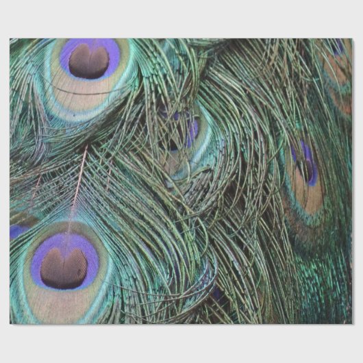 Peafowl Feathers Cadeaupapier (Vlak)