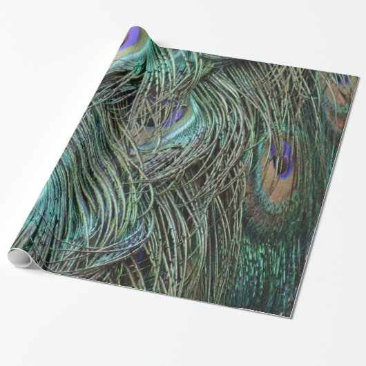 Peafowl Feathers Cadeaupapier (Uitgerold)