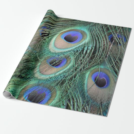 Peafowl Feathers Large Blue Eyes Cadeaupapier (Uitgerold)