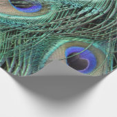 Peafowl Feathers Large Blue Eyes Cadeaupapier (Hoek)
