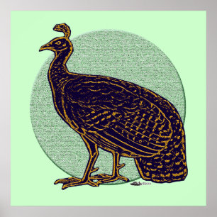 Peafowl: Impressionistisch Congo Hen Poster