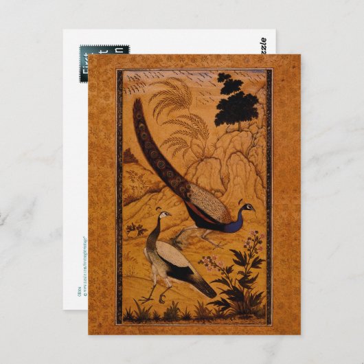 Peafowl in een landschap van Ustad Mansur Briefkaart (Voorkant / Achterkant)