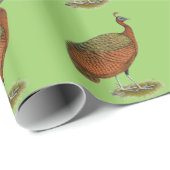 Peafowl: Kongo Peahen Cadeaupapier (Rol Hoek)