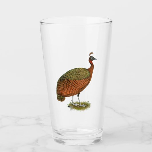 Peafowl: Kongo Peahen Glas (Voorkant)