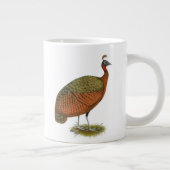 Peafowl: Kongo Peahen Grote Koffiekop (Rechts)