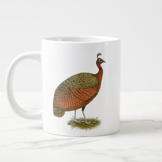 Peafowl: Kongo Peahen Grote Koffiekop (Links)