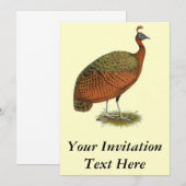 Peafowl: Kongo Peahen Kaart (Voorkant / Achterkant)