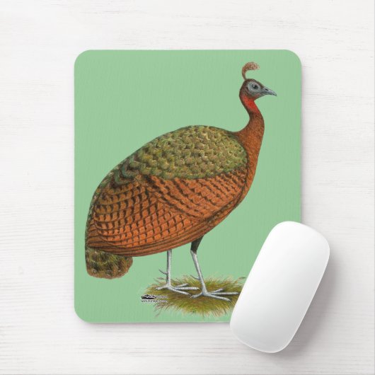 Peafowl: Kongo Peahen Muismat (Met muis)