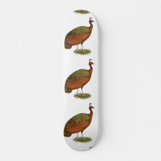 Peafowl: Kongo Peahen Persoonlijk Skateboard (Voorkant)