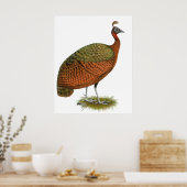 Peafowl: Kongo Peahen Poster (Keuken)