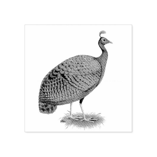 Peafowl: Kongo Peahen Rubberstempel (Afrduk)