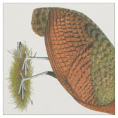 Peafowl: Kongo Peahen Stof (Close Up)