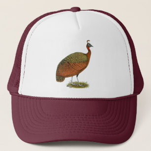Peafowl: Kongo Peahen Trucker Pet
