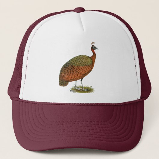 Peafowl: Kongo Peahen Trucker Pet (Voorkant)