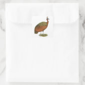 Peafowl: Kongo Peahen Vierkante Sticker (Tas)