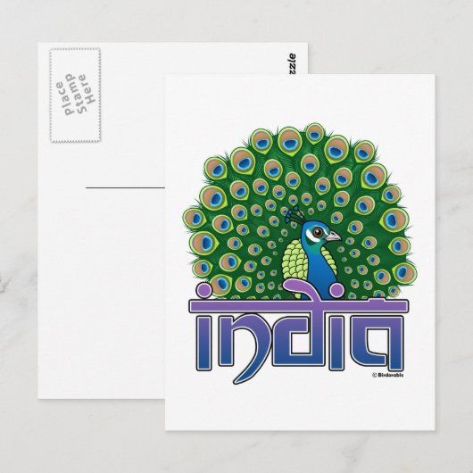 Peafowl of India Briefkaart (Voorkant / Achterkant)