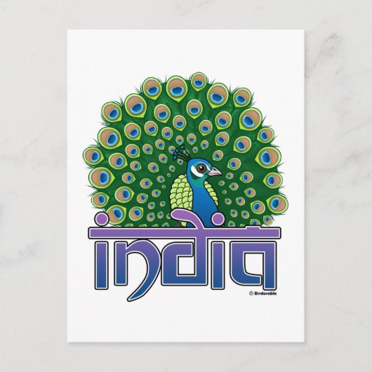 Peafowl of India Briefkaart (Voorkant)