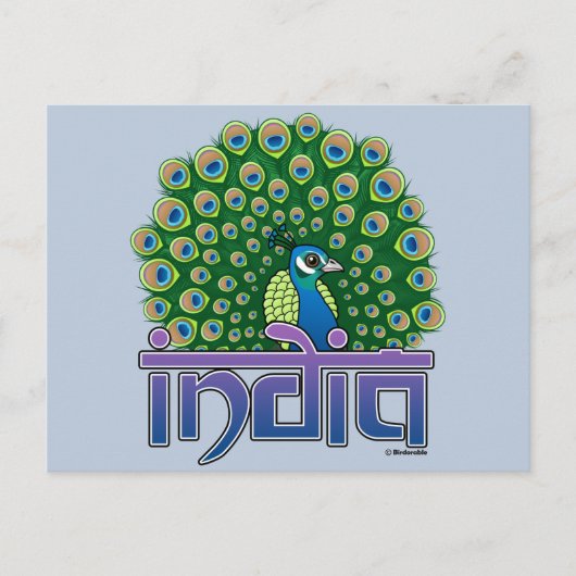 Peafowl of India Briefkaart (Voorkant)